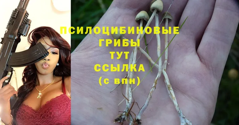 МЕГА ТОР  Клинцы  Галлюциногенные грибы Cubensis  где купить наркотик 